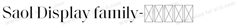 Saol Display family字体转换